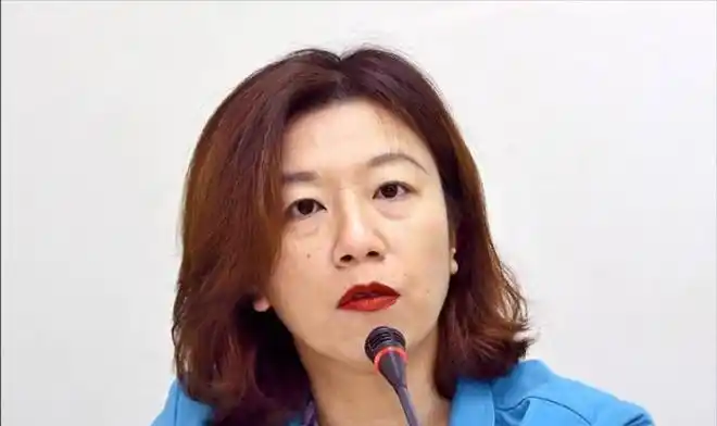 台中补选民进党今天将宣布林静仪出征国民党15日前公布人选