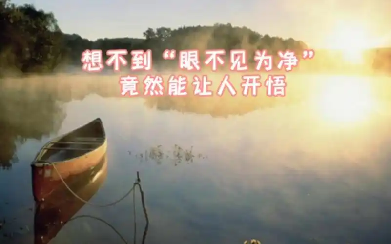 想不到"眼不见为净"竟然能让人开悟