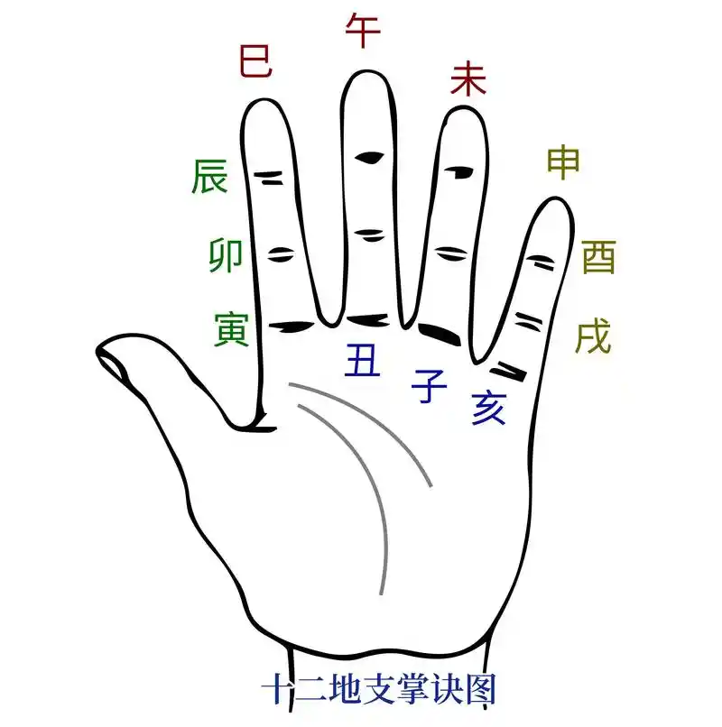 另外记十二地支时,一定要配合掌诀图,因为结合掌诀图各种地支关系记