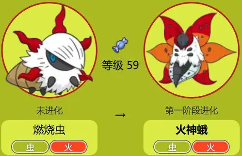 火系唯一组合有7只神奇宝贝,第2只能变小智图鉴,第5只脾气大_属性