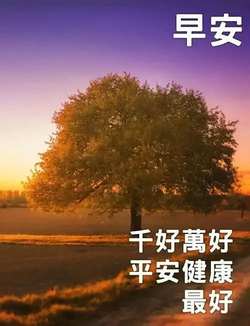 原创11月5日晚秋最美早上好问候祝福语动态图片表情早晨温馨表情精选