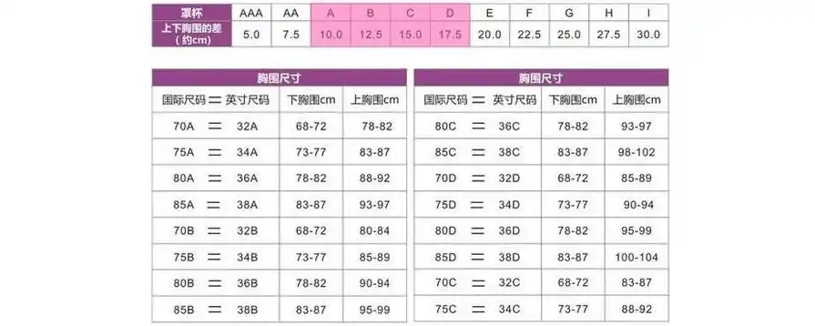 34b对应是什么尺码