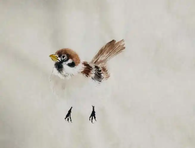 冷门又宝藏的画麻雀步骤