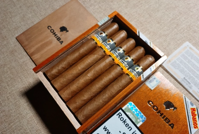 德国cohiba高希霸世纪6雪茄
