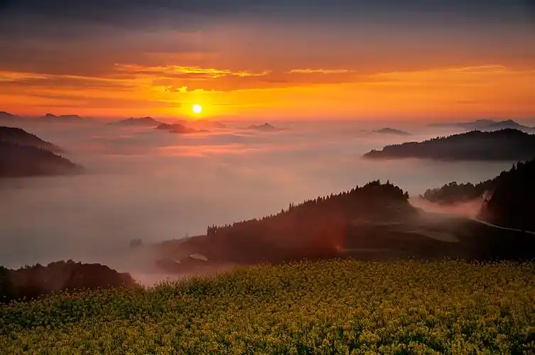 2019-08-23 分享 评论 喜欢 清晨,太阳从东方升起,云雾在高山之间漫无