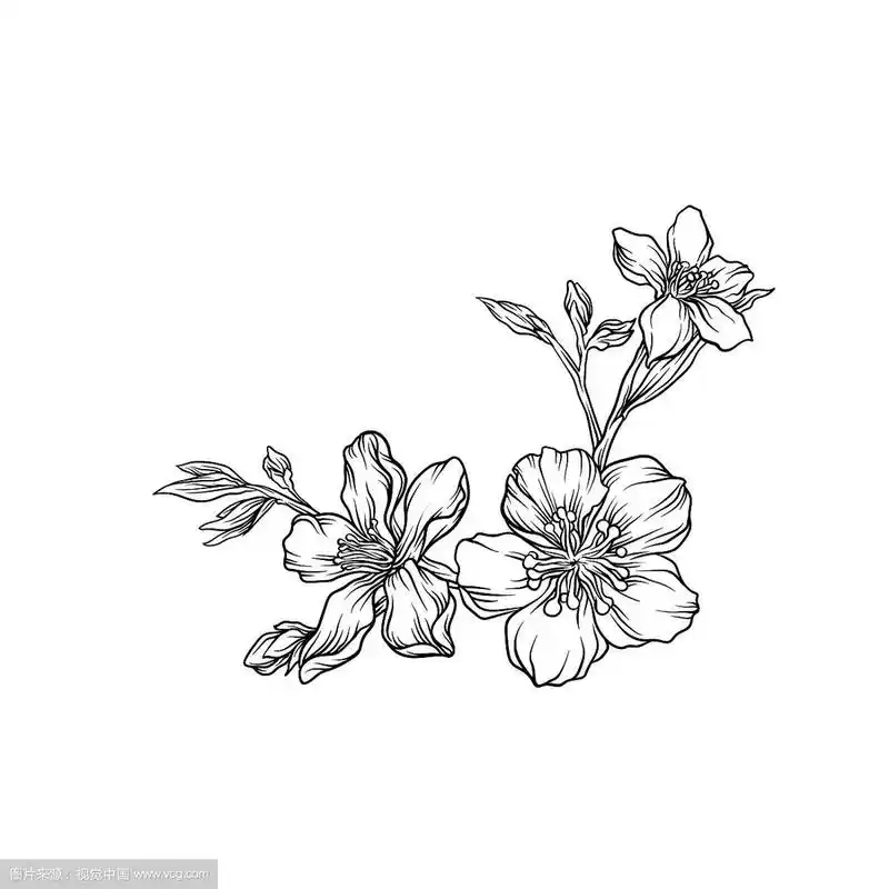 手绘花枝单色花设计