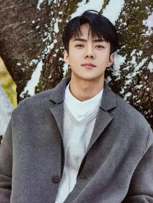 吴世勋sense冬日浪漫大片