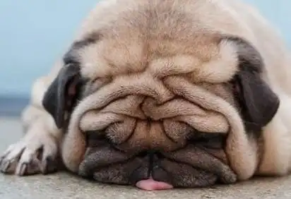 让你笑到抽筋的搞笑段子 www.rz520.com