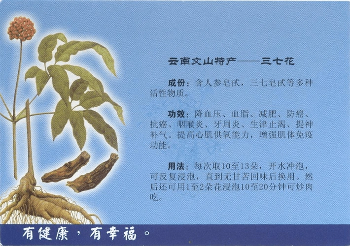 文山三七花功效用法详解