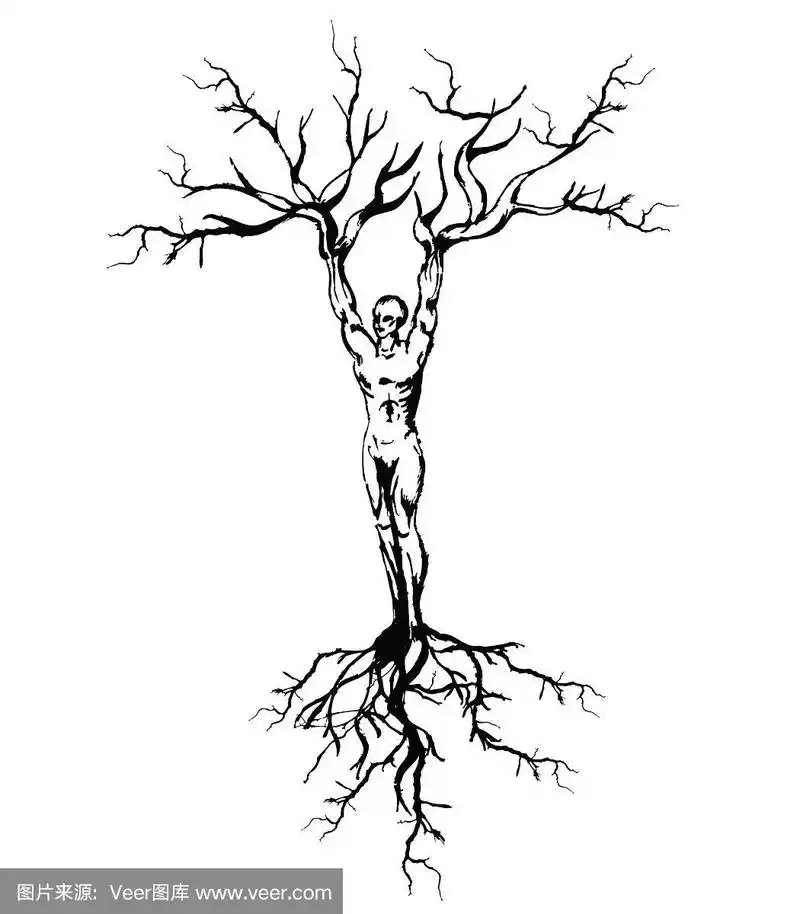 树根