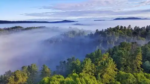 雾漫林海 绿色兴安