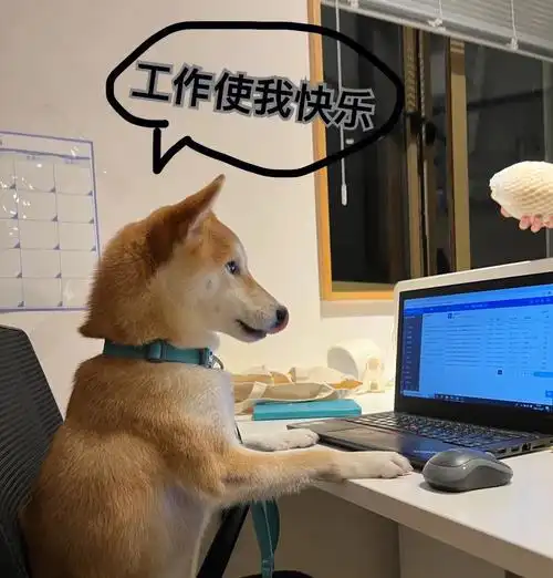 noodle今天完美演绎打工人的三种心理状态#我家宠物好可爱  #加班狗