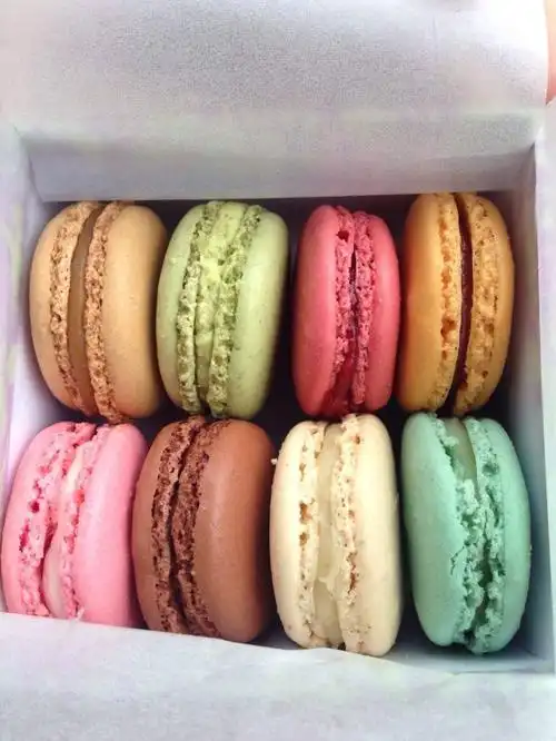 马卡龙的鼻祖,一盒17欧,没有之前吃过的甜确实就是那么回事儿,让我在