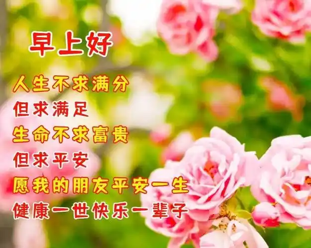 每日早上好祝福语表情带图片清早问候朋友的早上好暖心祝福语