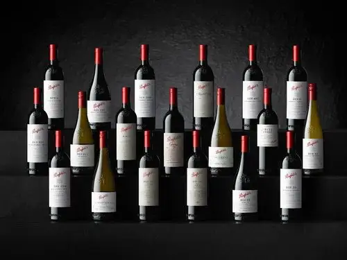 奔富酒庄的规模变得越来越大,逐渐成为澳大利亚南澳第一大庄园