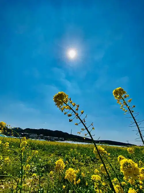 最美阳光美丽心情体验不一样的你