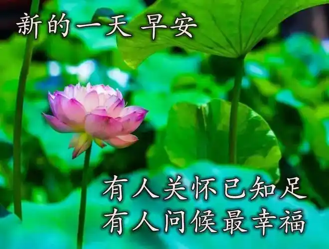 原创7张最新漂亮夏日风景早安早上好图片好看的朋友圈早安问候祝福语
