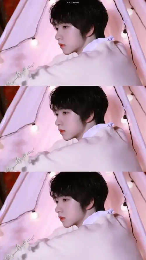 贺峻霖 春海月明