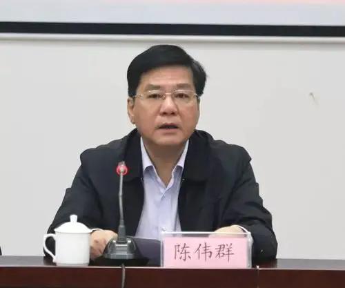 区委常委,统战部部长陈伟群向参与商事调解的企业家们表示感谢,并就