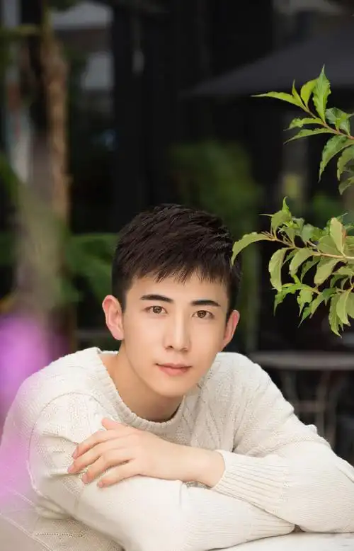 李川文艺暖男帅气写真高清图片