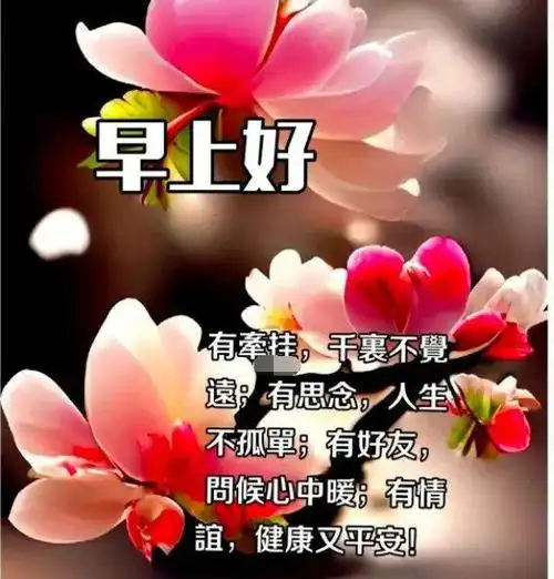 早安问候语暖心的祝福图片带字天冷了注意保暖的祝福语温馨早上好语录