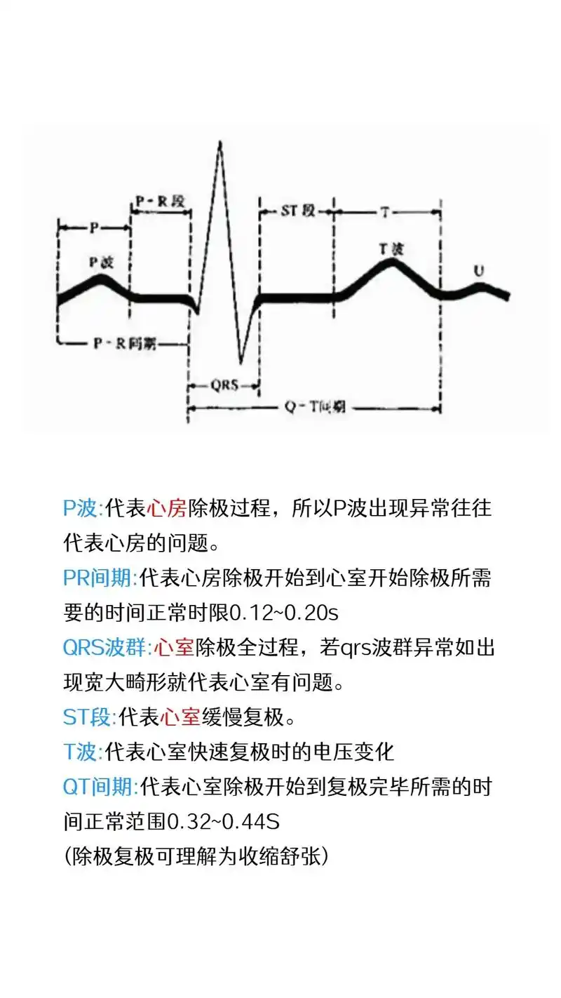 如何学会看心电图#初级护师 #护师 #护士  - 抖音