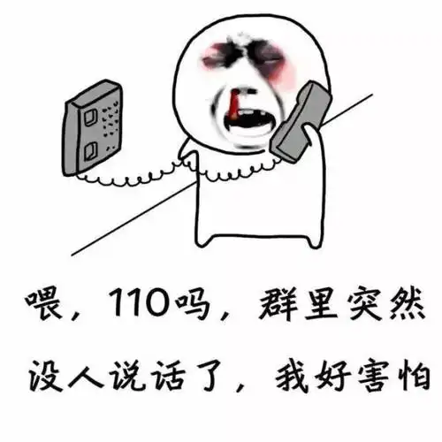 喂110吗群里突然没人说话了我好害怕搞笑表情包斗图表情