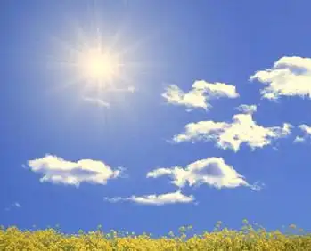 阳光明媚的具体意思(阳光明媚简单释义)