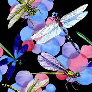 水彩蜻蜓图片-水彩蜻蜓素材-水彩蜻蜓插画-摄图新视界