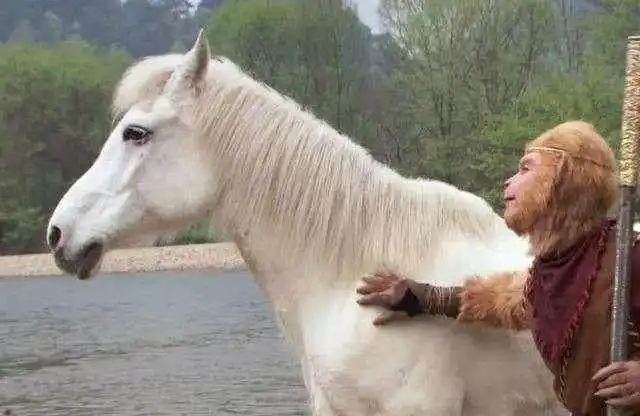 《西游记》中白龙马说自己的龙尿也能让人长寿,为什么妖怪不吃他