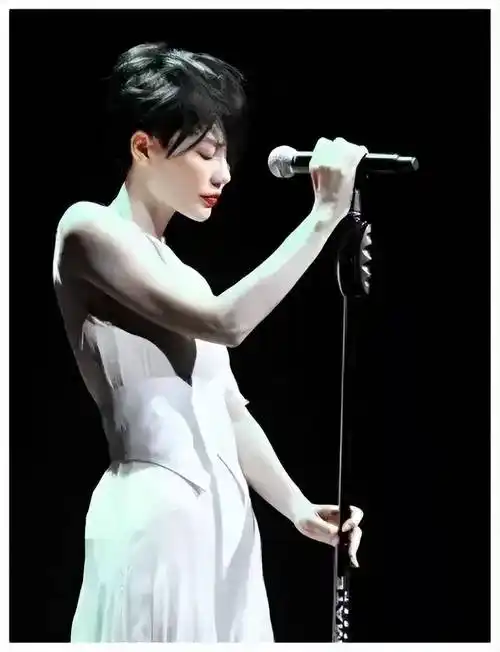 当时的王菲举办演唱会,几乎场场座无虚席,纵观整个华语乐坛,无人能