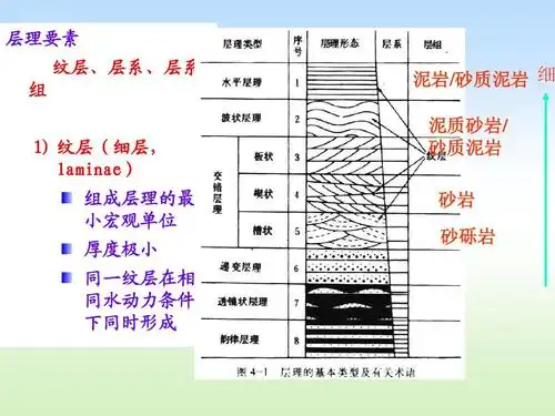 层理要素 纹层,层系,层系 组 1) 纹层(细层
