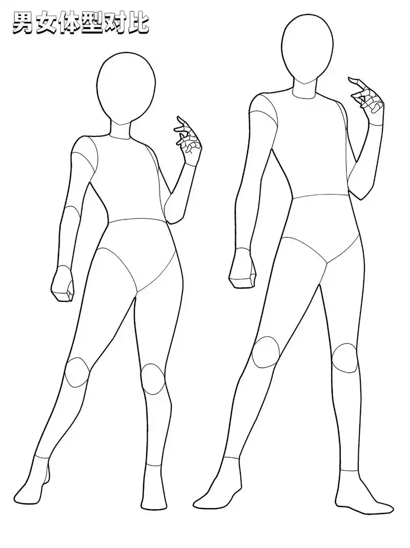 画情侣必备哦～男女的体型不同对比.收藏起来!