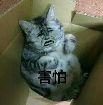 当场求婚熊猫头求婚表情包系列撩妹撩汉表情