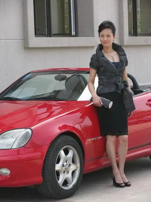 明星妈妈李颖加盟流星雨再演高贵偶像妈妈