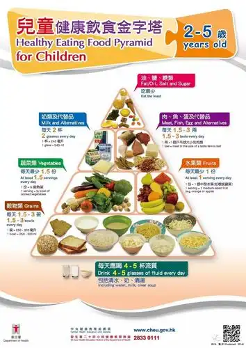 我们家有一套成品的食物金字塔教具,几年前淘宝上低价淘的,现在已经没