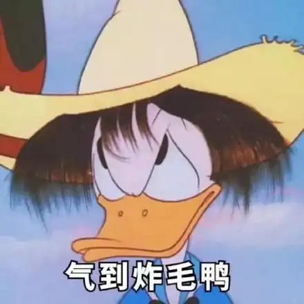 气到炸毛鸭_炸毛_气到表情