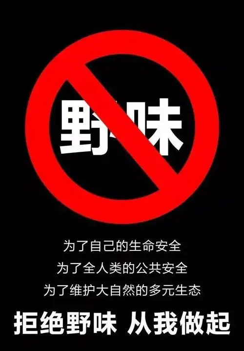 顶风作案,贵州男子竟捕杀2只野生果子狸换口味