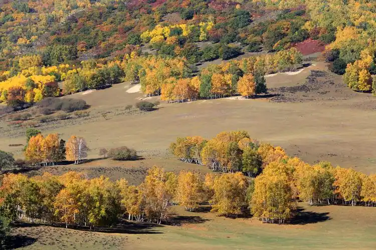 秋风吹过的旷野——坝上草原图片334,内蒙古自治区旅游景点,风景名胜