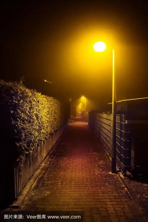 浪漫的雾夜漫步在城市公园的路灯下