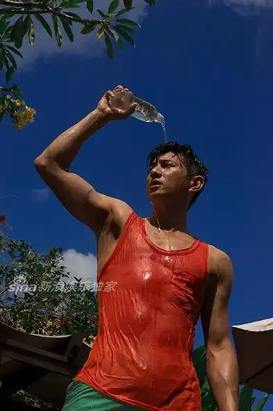 吴奇隆刘恺谁更帅?