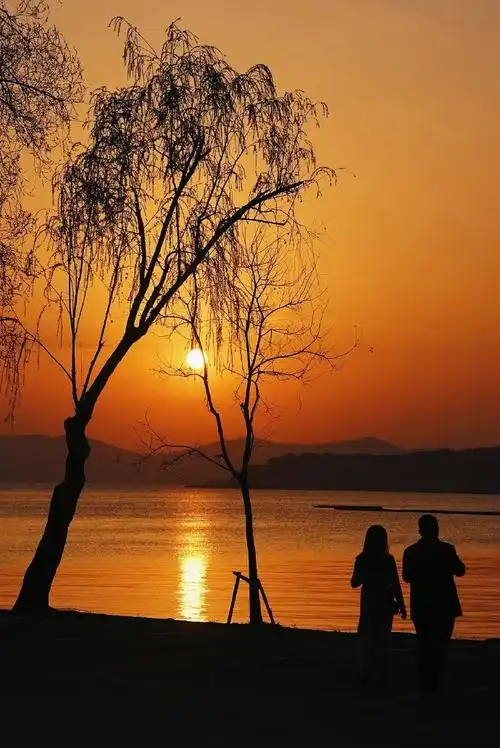 鼋头渚简直是我的梦中景区!