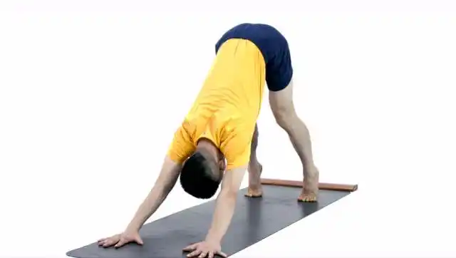 下犬式(adho mukha svanasana)