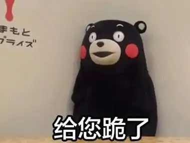 给您跪了熊本熊gif动图_动态图_表情包下载_soogif