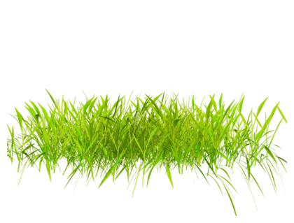 草坪草地草原小草环保树木绿色草丛摄影后期免抠png元素素材查看来源