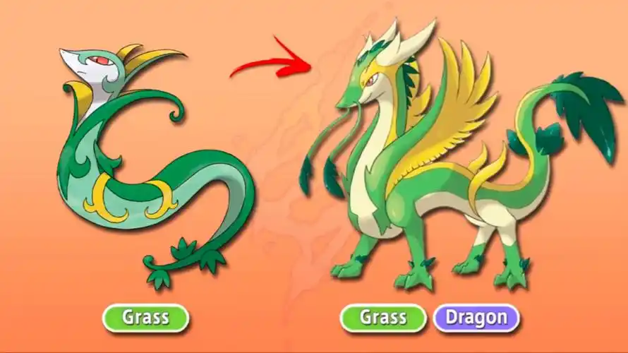 神奇宝贝:当宝可梦超级进化后,君主蛇羽化成龙,火暴兽头上冒烟