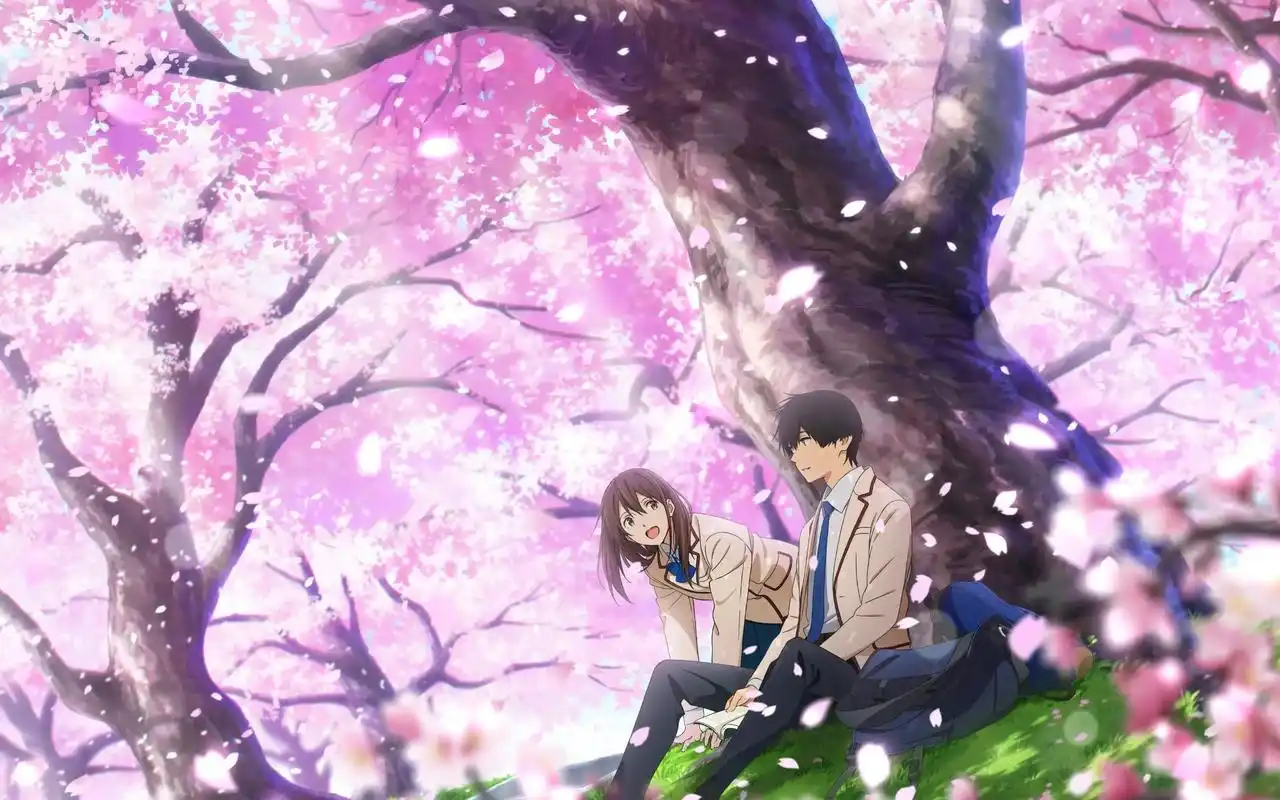 动画中的撒库拉很美,但是樱花并非源于霓虹,而是起源于我们国家