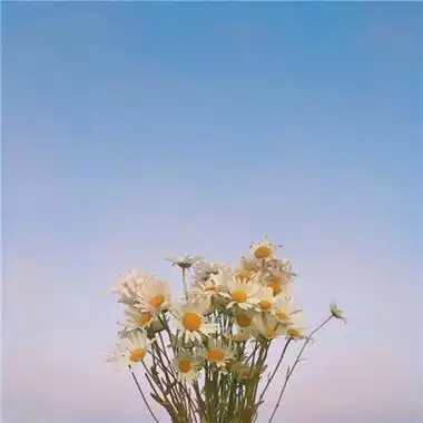 超有意境的微信头像2021 将一生热爱付诸一人足矣