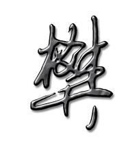 樊艺术字体樊头像樊笔顺樊同音同调字查询