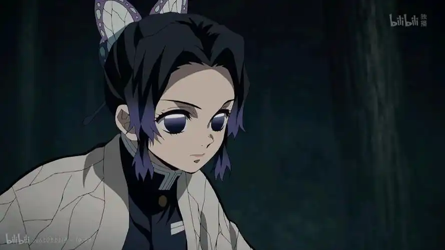 鬼灭之刃~蝴蝶忍